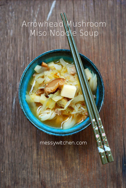 Arrowhead Mushroom Miso Noodle Soup